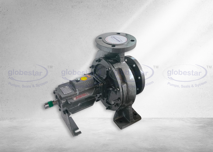 Centrifugal Thermic Fluid Hot Oil Pump