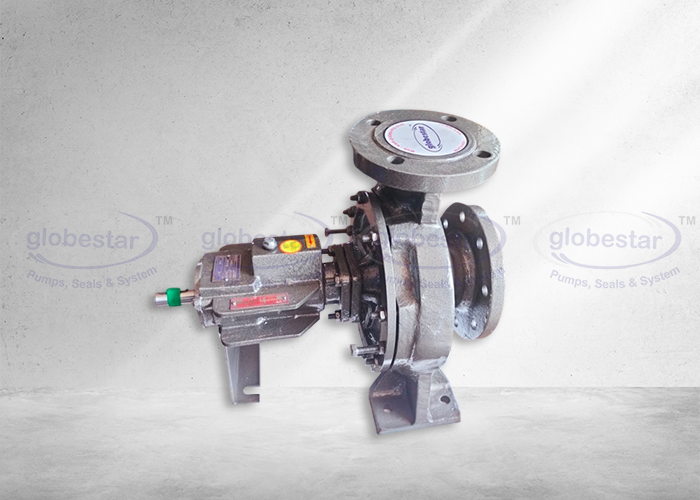 Centrifugal Thermic Fluid Hot Oil Pump