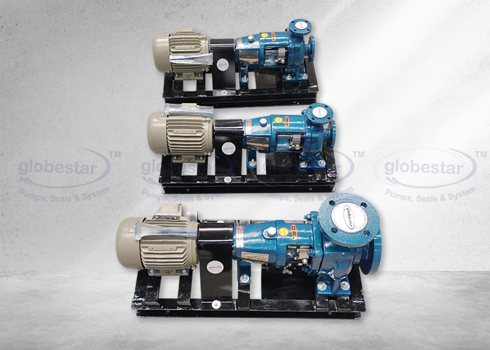 Chemical Process Pump