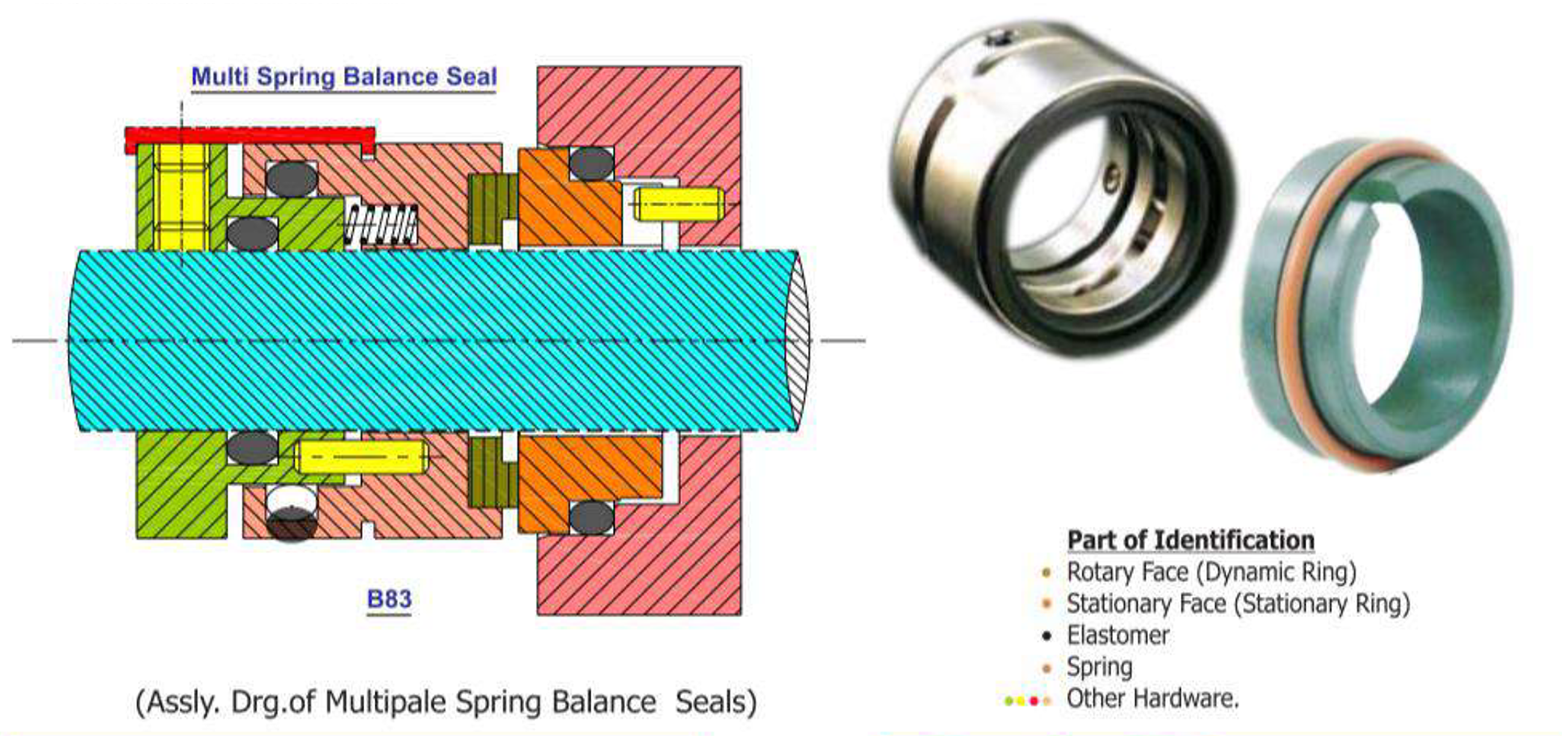 Multiple Spring Balance Seal Series: B83